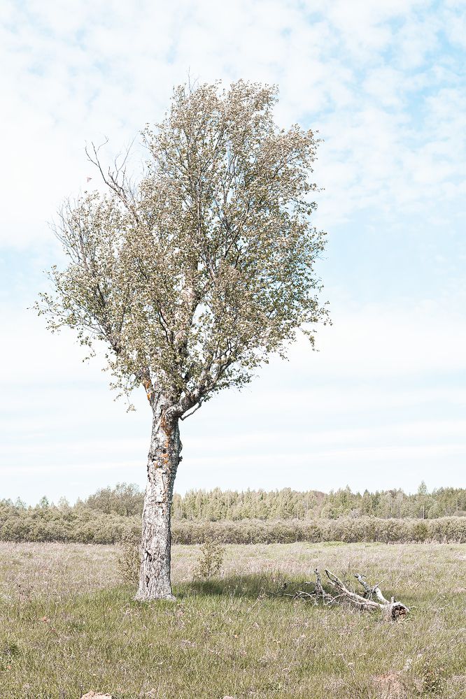 Photograph by Егор Ставер