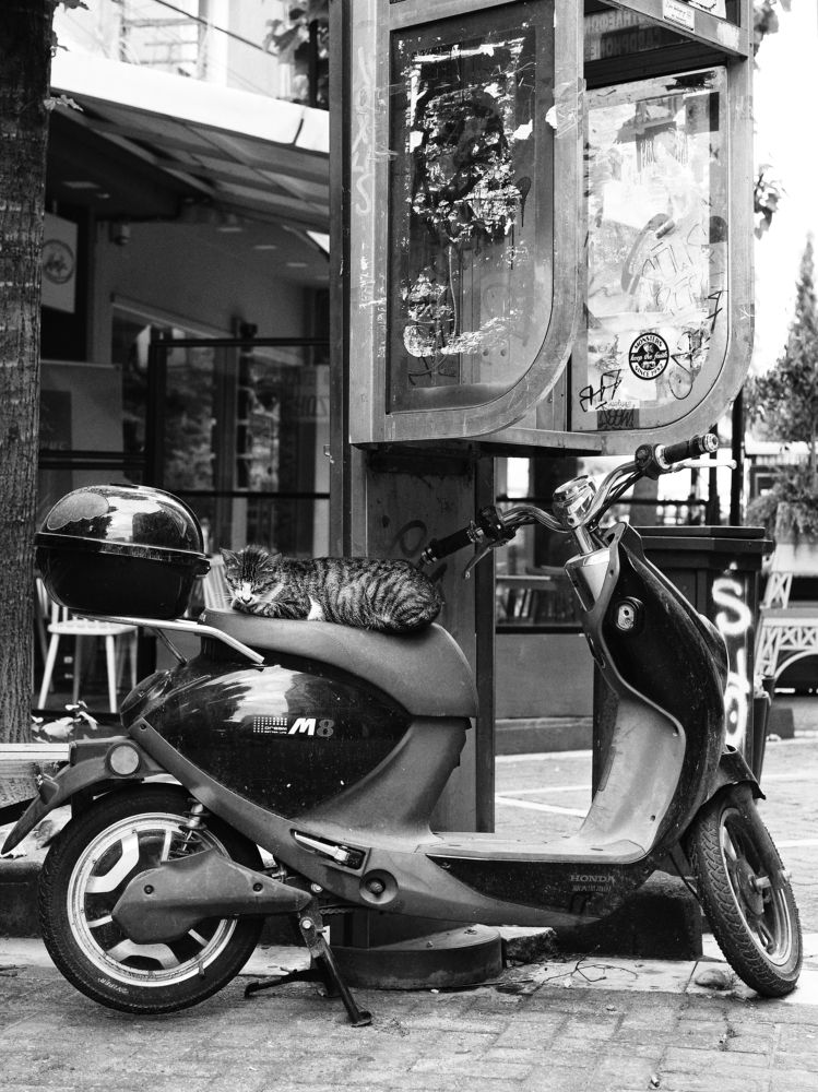 Photograph by Yulia Niki