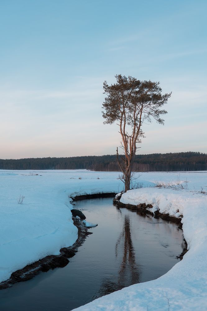 Photograph by Егор Ставер