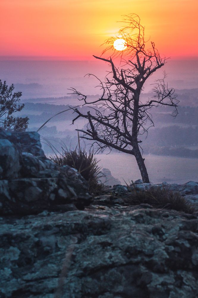 Фотография автора Hugo Marc