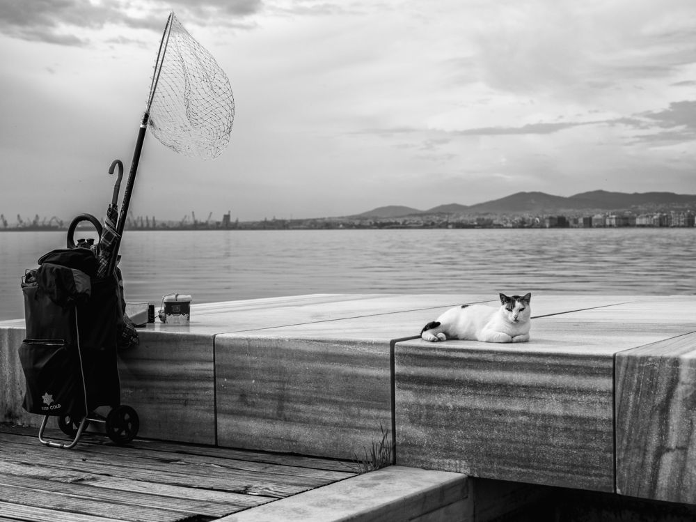 Photograph by Yulia Niki