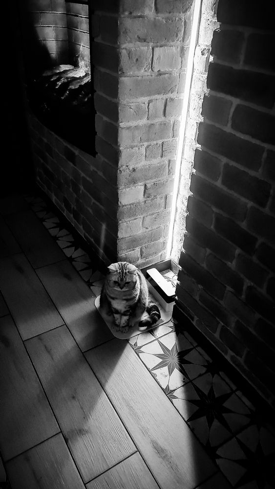 Photograph by Елена Ефимова