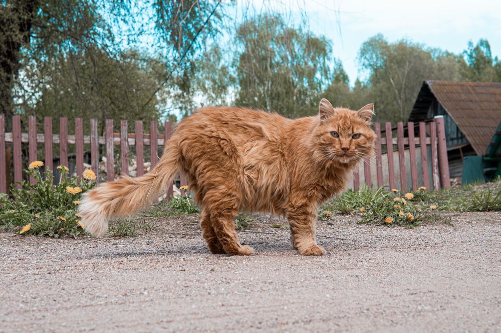 Photograph by Егор Ставер