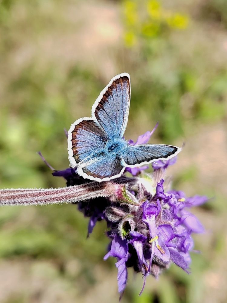 Photograph by Марина