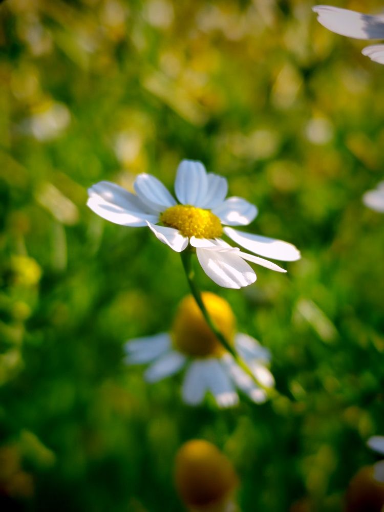 Photograph by Марина