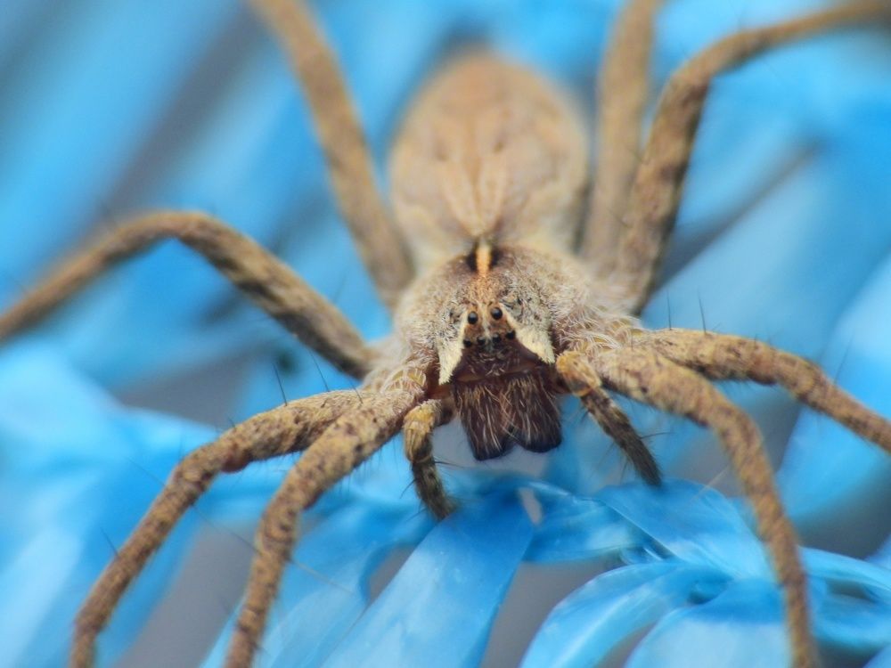 Фотография автора Соколов Владимир