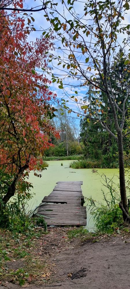 Photograph by Дмитрий Романов