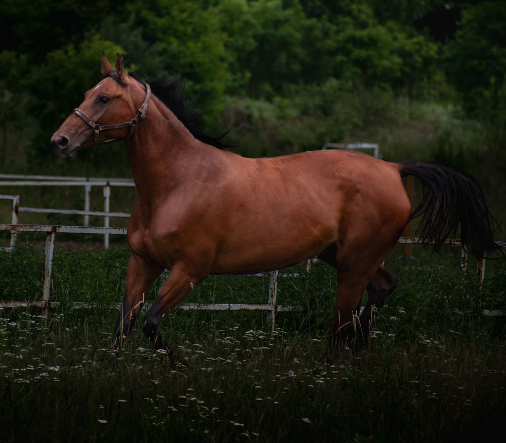 Photograph by Милан Ђорђевић