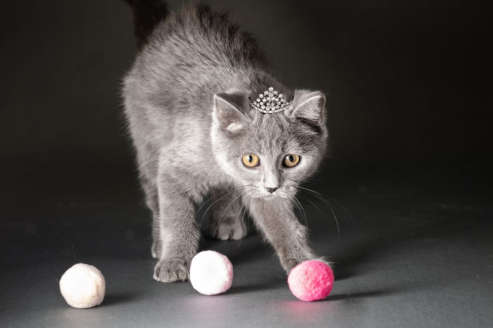 Photograph by Sanja Ristivojevic