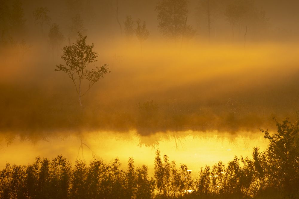 Photograph by Максим Григорьев