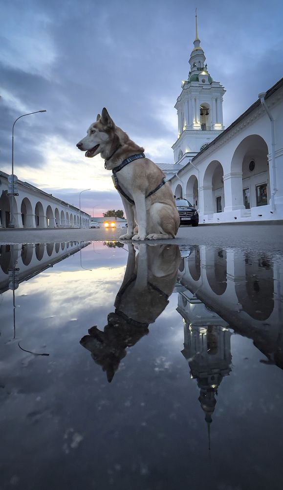 Photograph by Nikolay Nikolaev