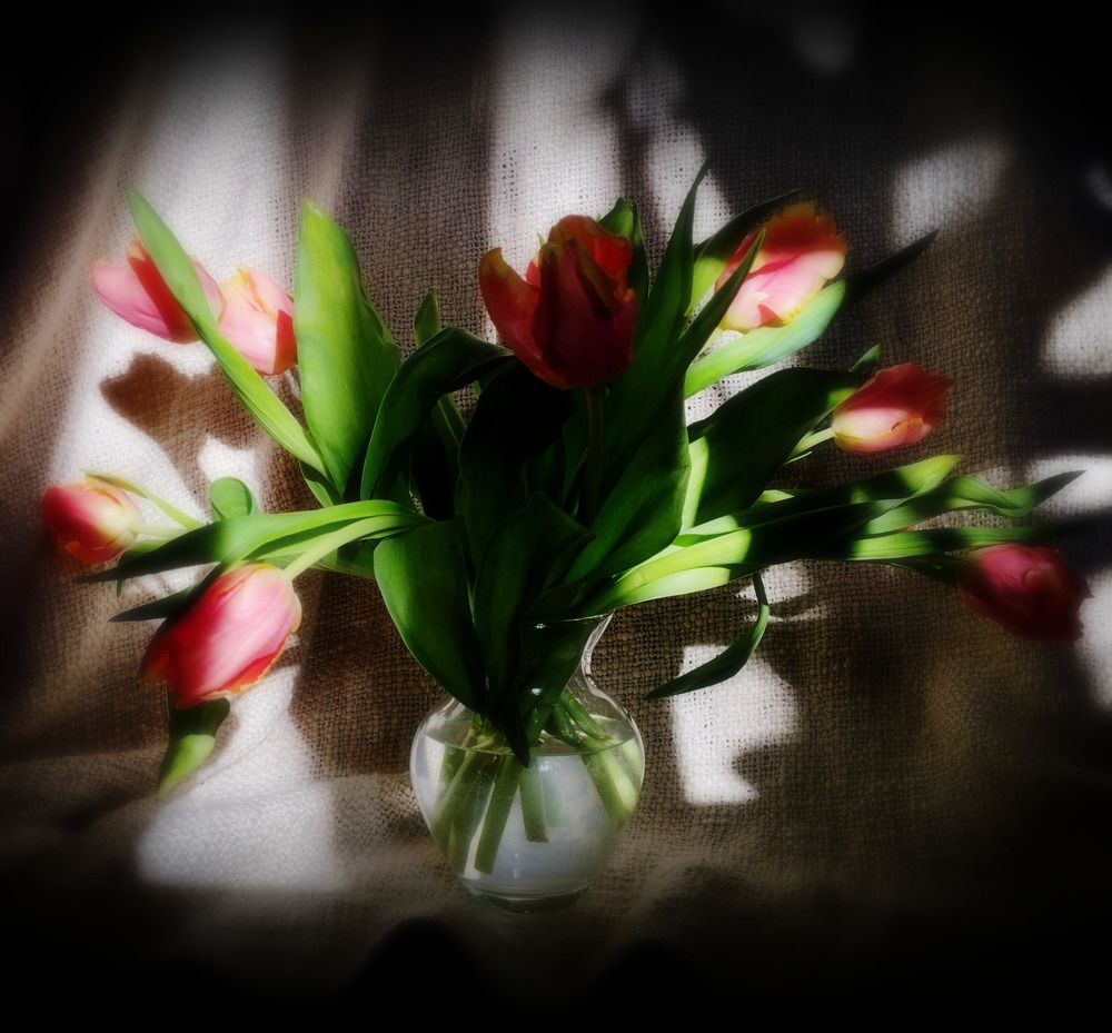 Photograph by Irina Dali