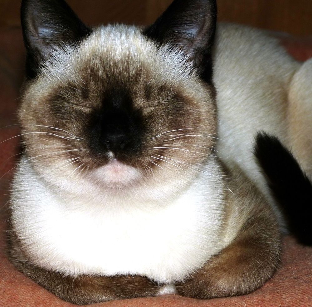 Photograph by Максим Владимирович