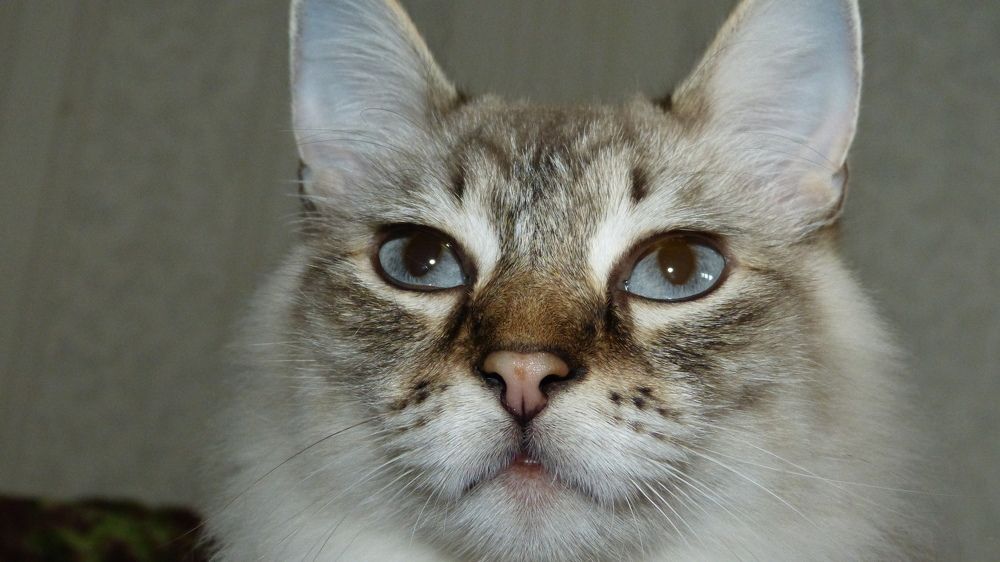 Photograph by Максим Владимирович