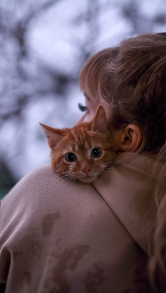 Photograph by Алексей Шевцов