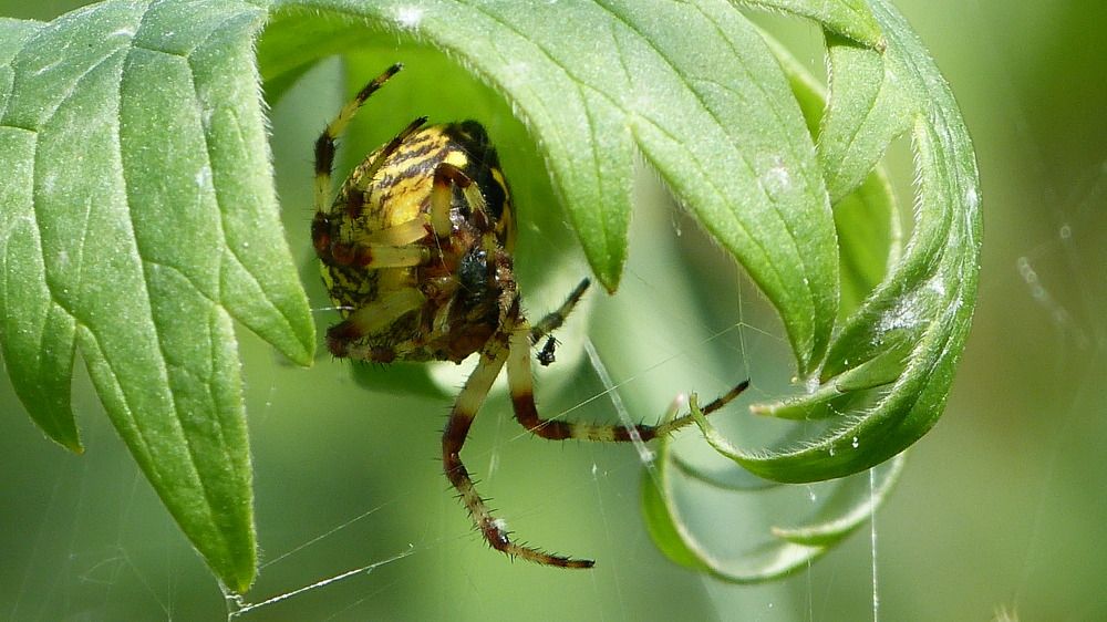 Photograph by Максим Владимирович