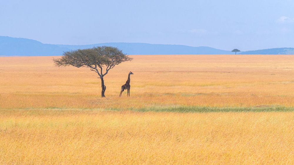 Photograph by Jayakumar MN