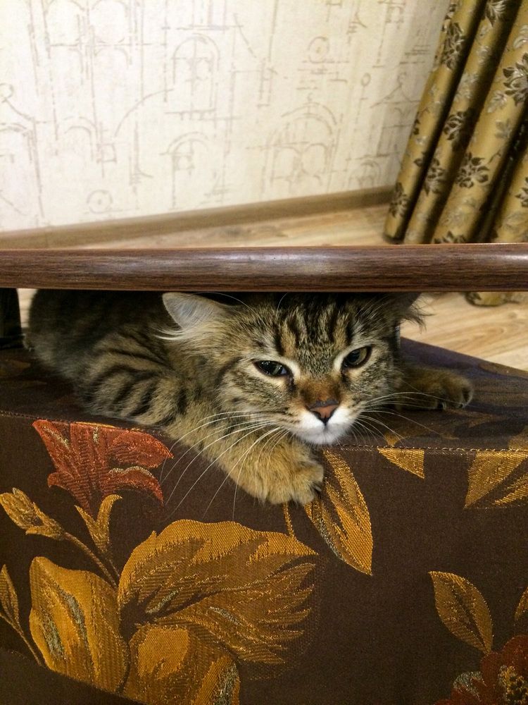 Под грузом жизненных обстоятельств