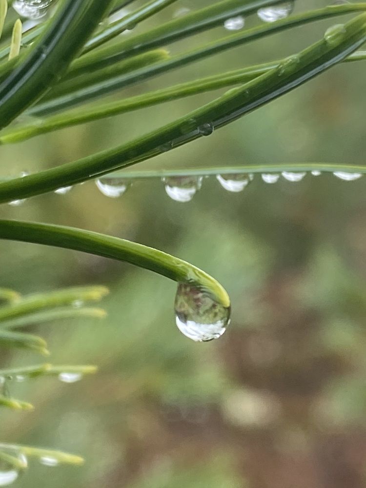 Фотография автора Наталья Вертугина