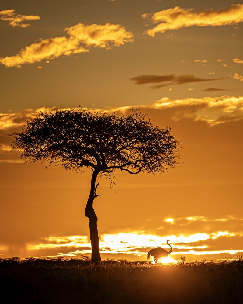 Photograph by Jayakumar MN