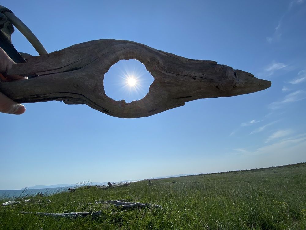 Фотография автора Наталья Вертугина