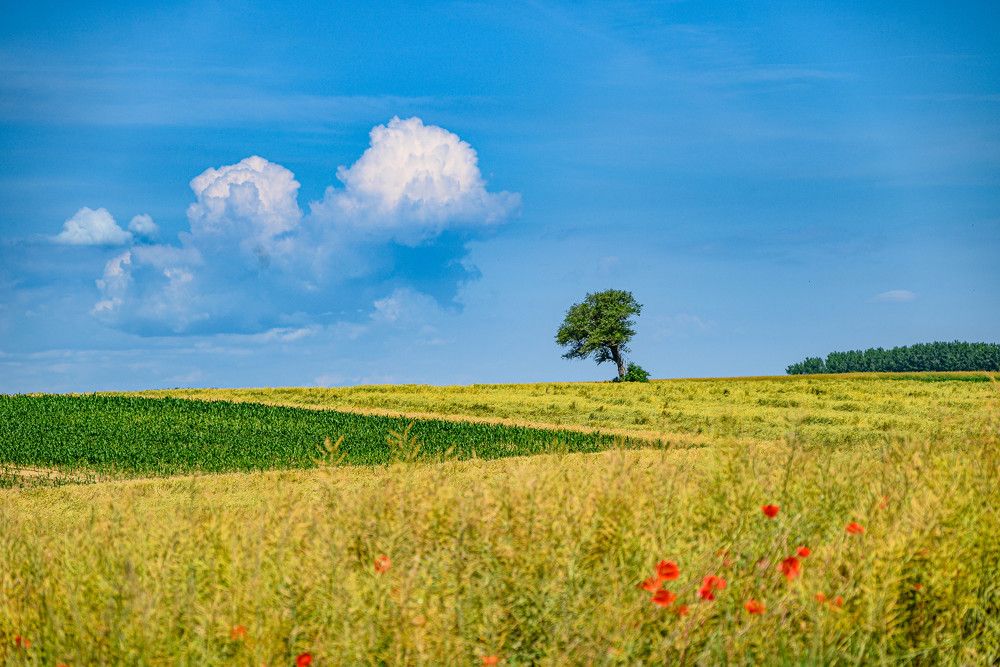 Photograph by Stipica Vrbat