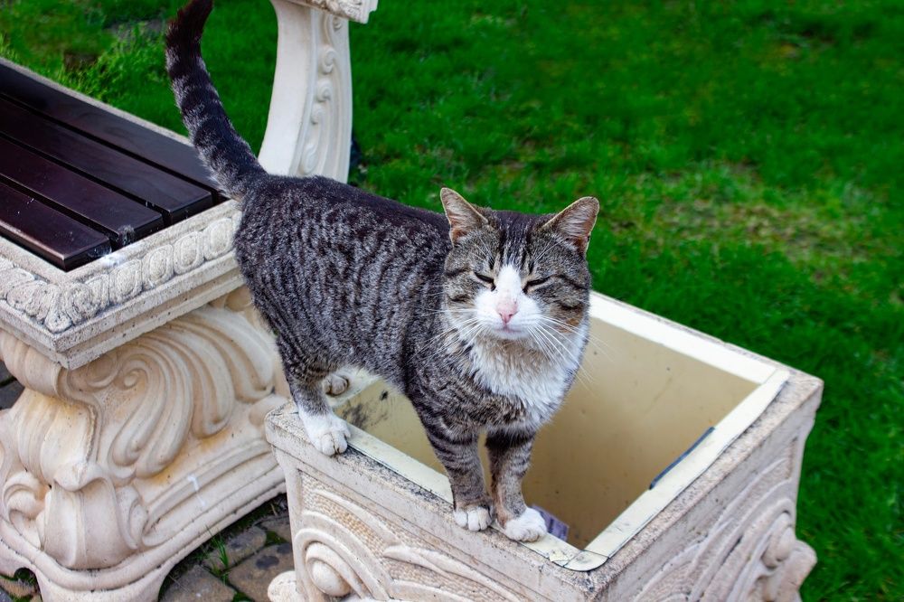 Photograph by Степан Конев