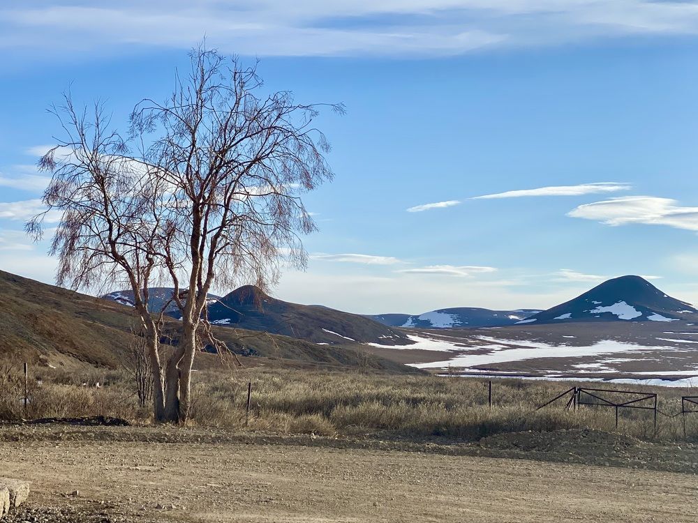 Фотография автора Наталья Вертугина