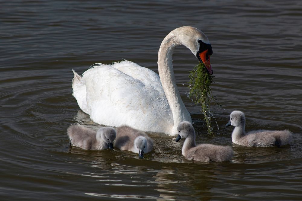 Photograph by Степан Конев