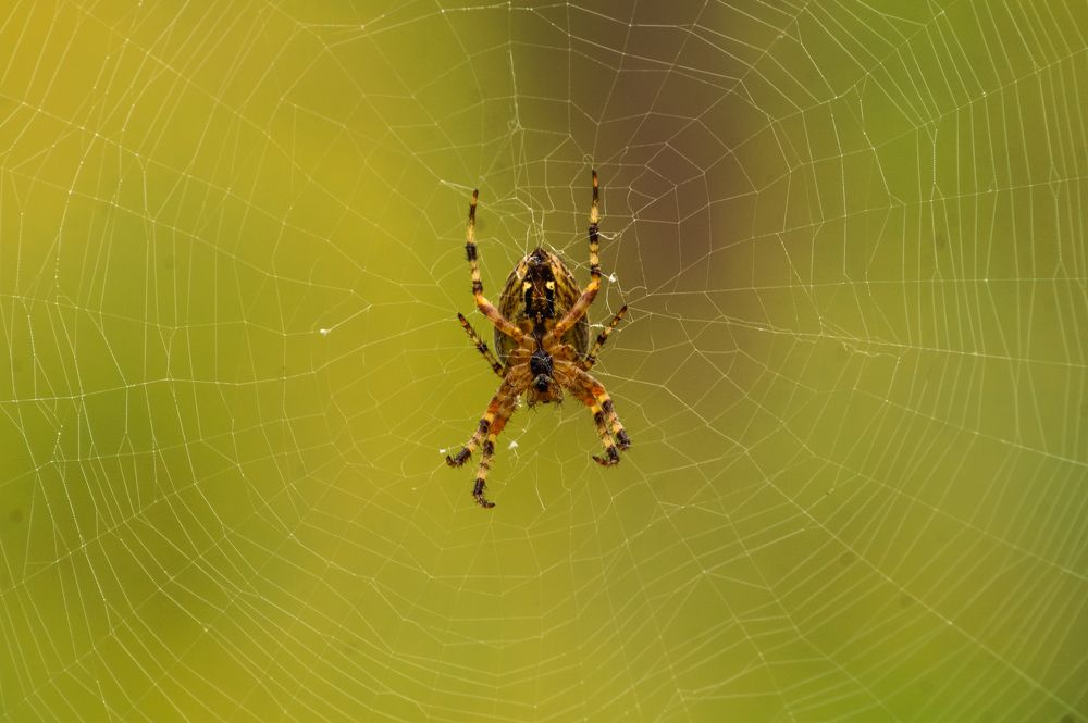 Photograph by Виктор Сёмушкин