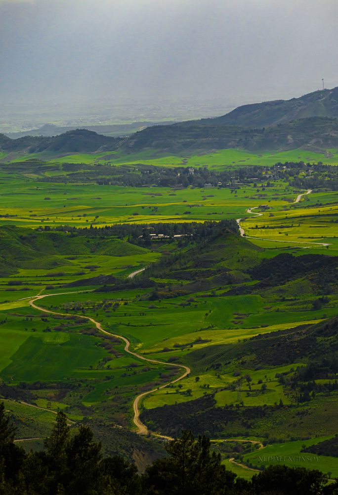 Photograph by Nedim Enginsoy