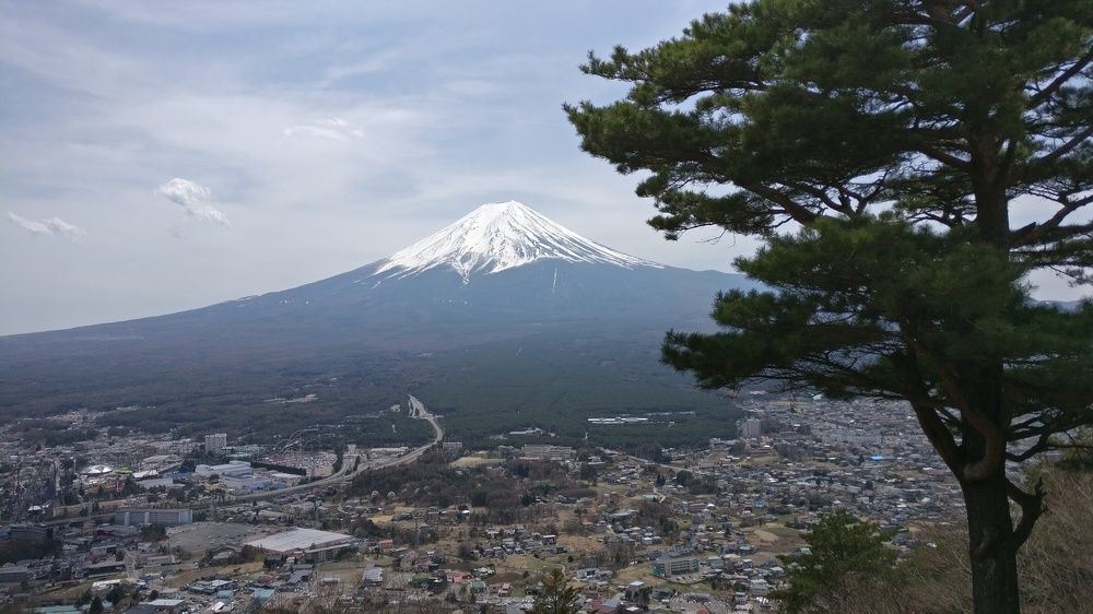 Photograph by Hany Salem