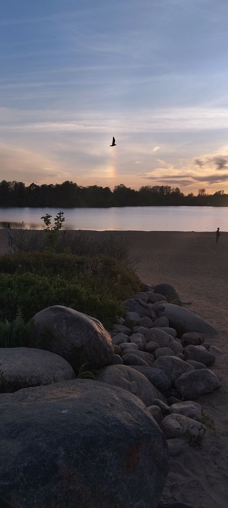 Photograph by Любовь Макарова