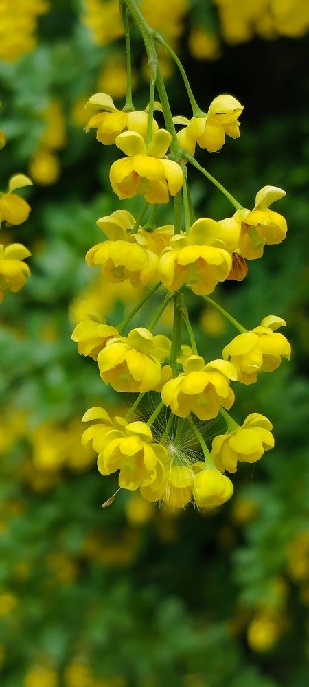 Photograph by Любовь Макарова