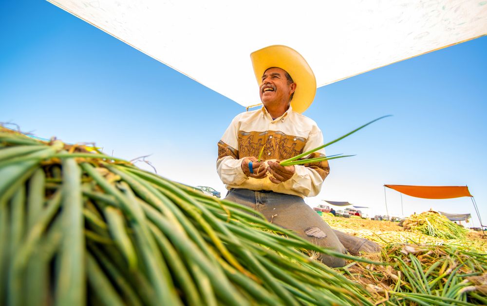 Photograph by Luis Rodríguez Araiza