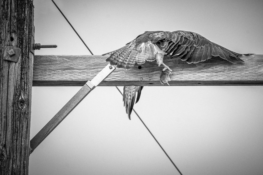 Photograph by Shauna Hart