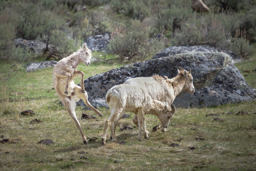 Photograph by Shauna Hart