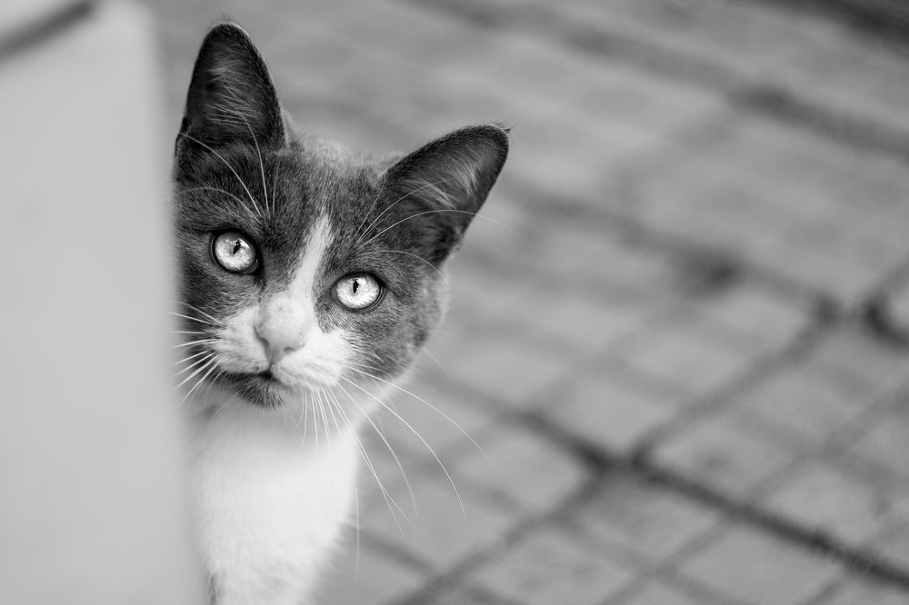 Photograph by Magic Helios