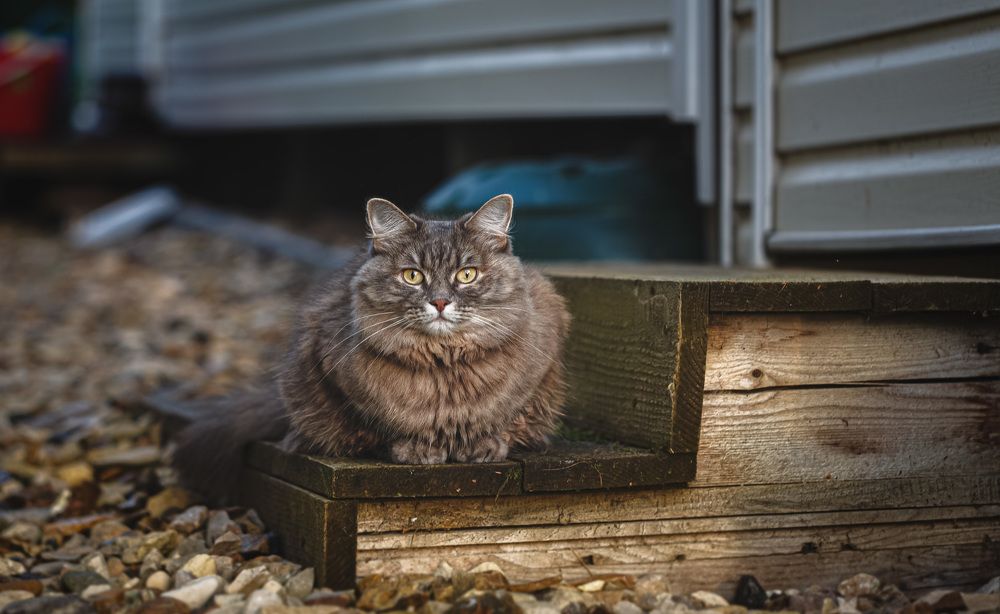 Photograph by Зеленько Дмитрий