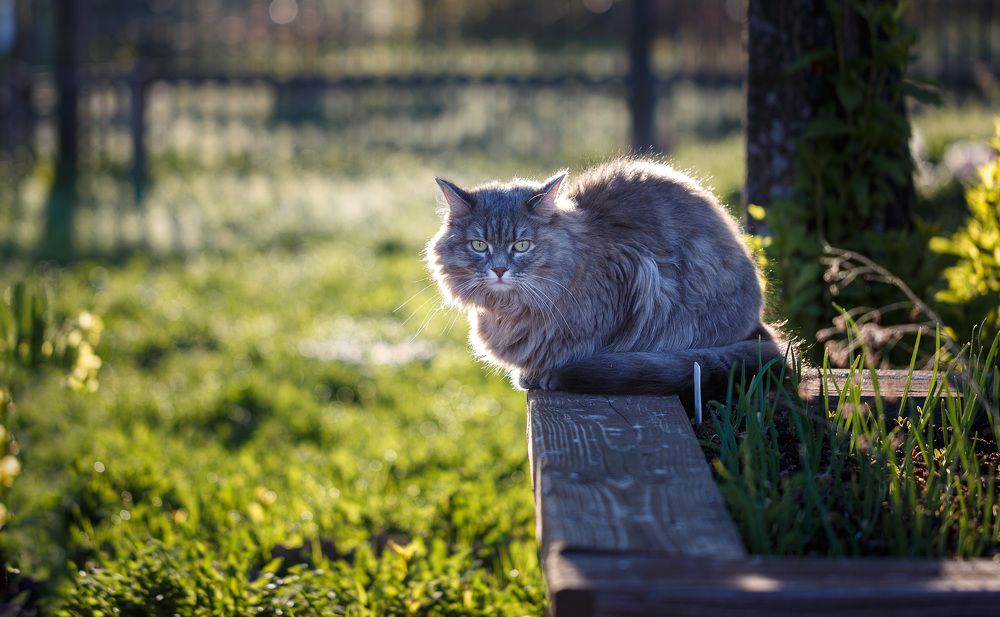 Photograph by Зеленько Дмитрий