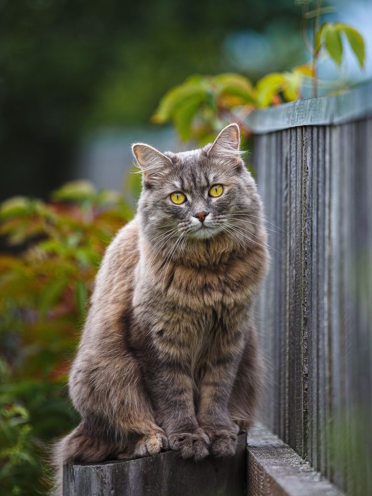 Photograph by Зеленько Дмитрий