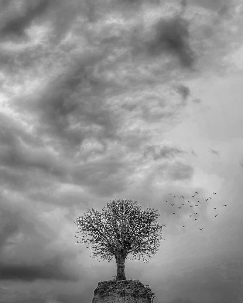 Photograph by علی اصغر آهنگری