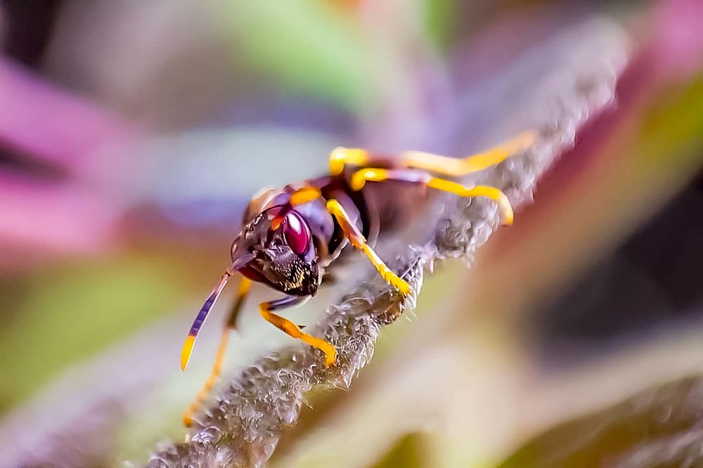 Photograph by Nicolás Mejía