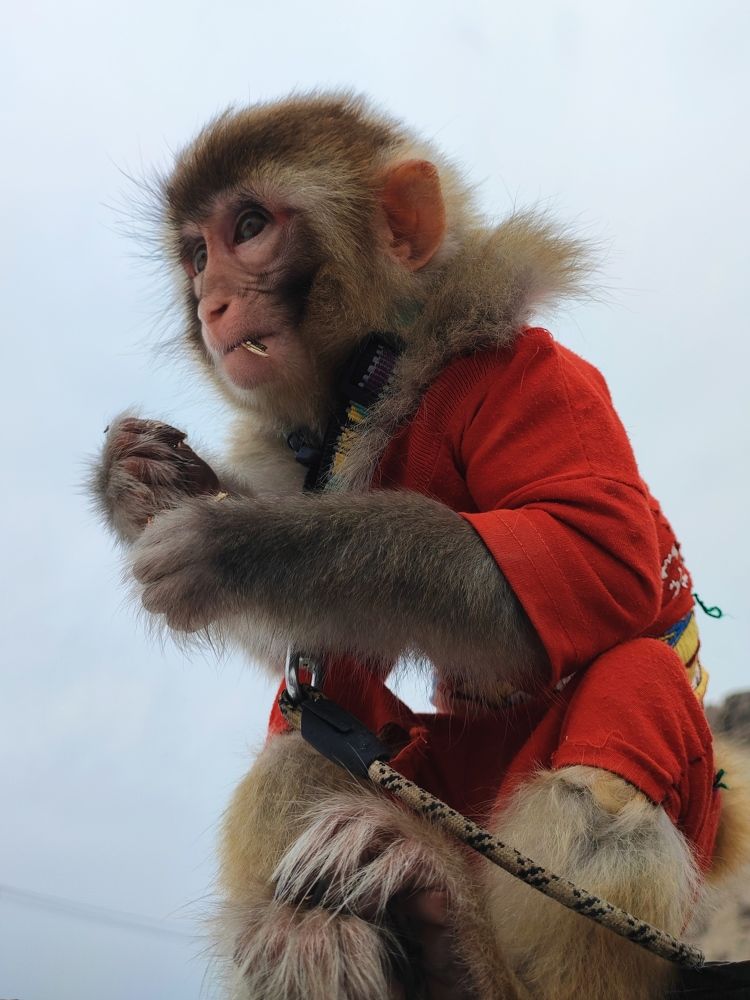 Photograph by Mehrshad Pahlavan