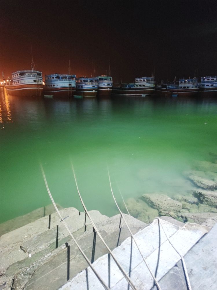 Photograph by Mehrshad Pahlavan