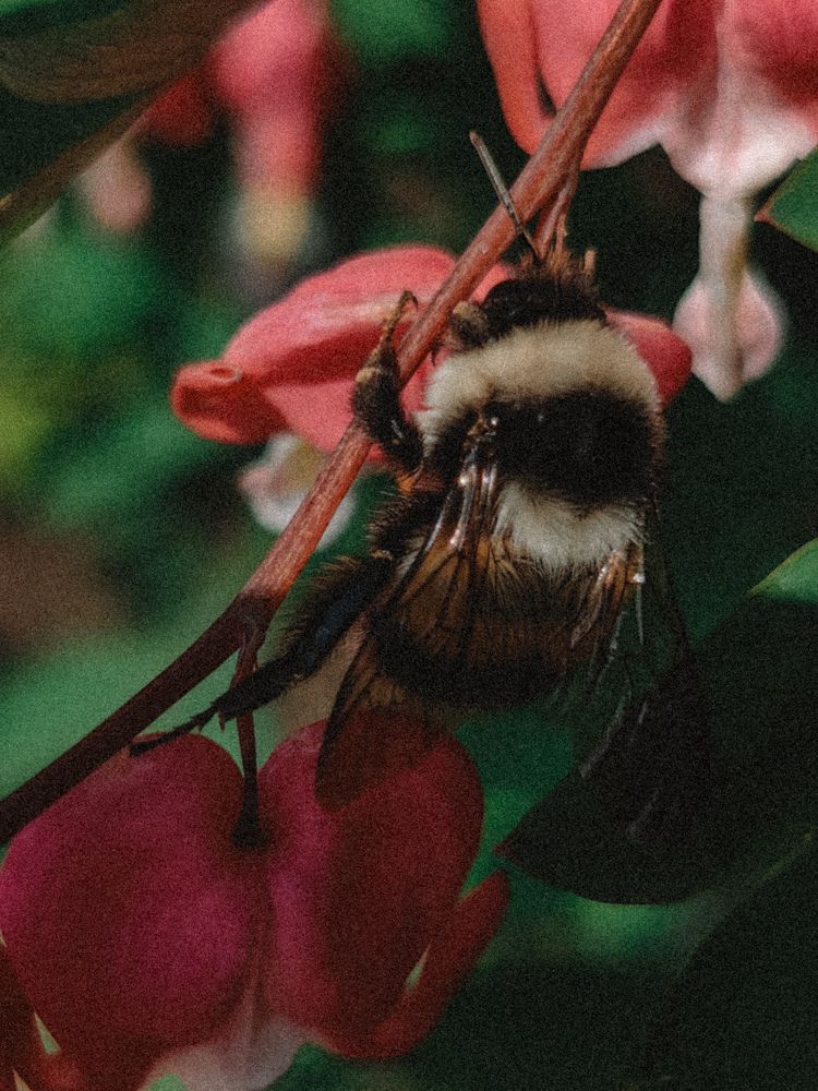 Фотография автора Ольга