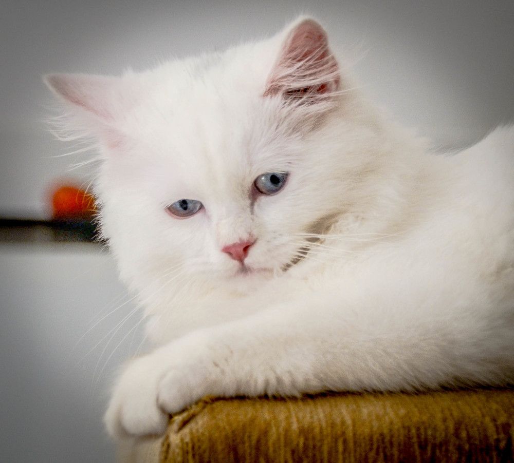 Photograph by Андрей Калинин