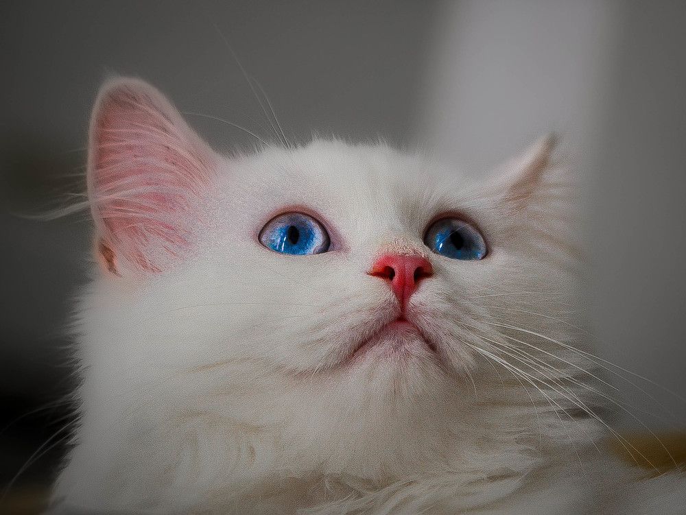 Photograph by Андрей Калинин