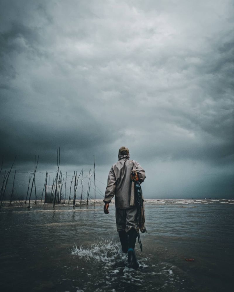 Фотография автора Arashzaree14