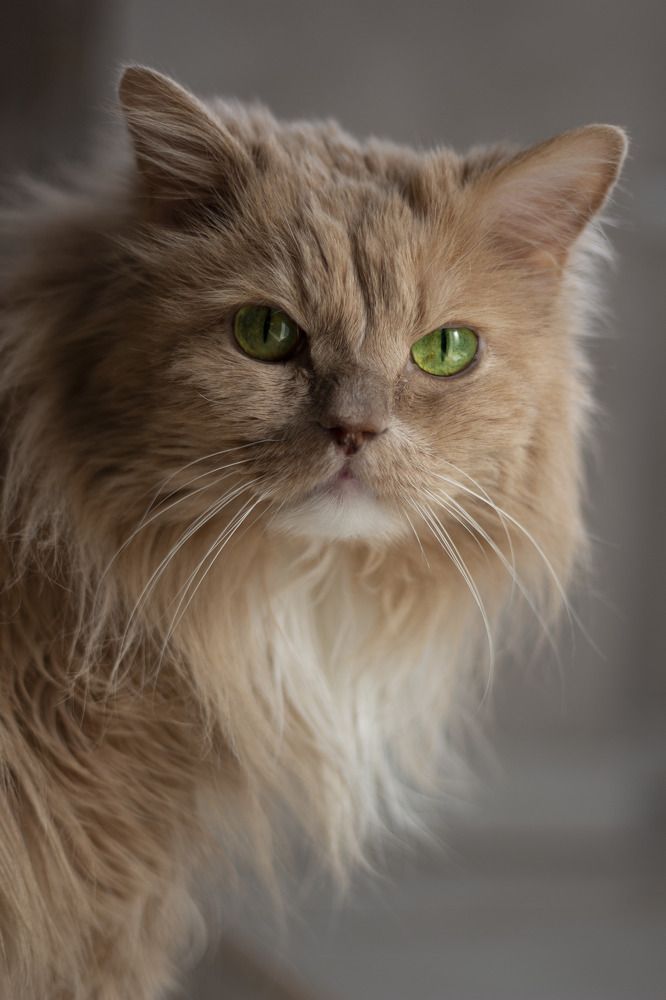 Photograph by Вася Кадочников